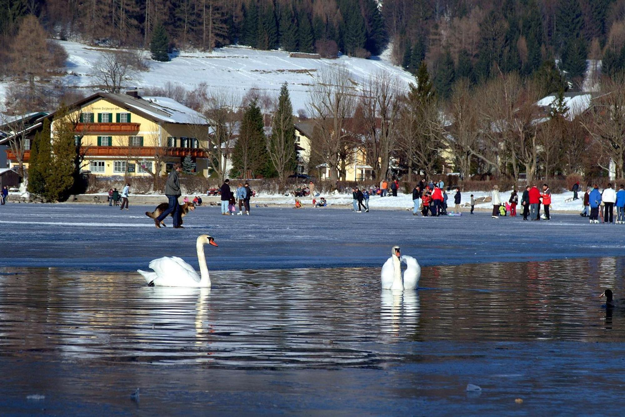 Landhotel Schuetzenhof Fuschl am See Bagian luar foto